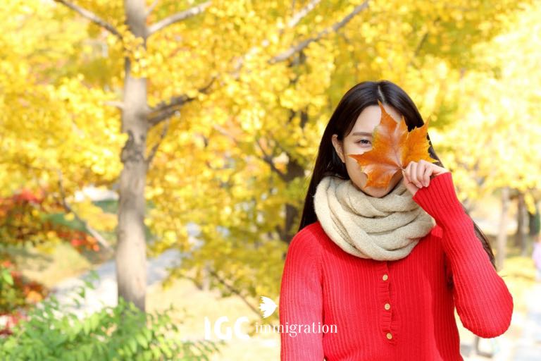 Du học Canada miễn phí