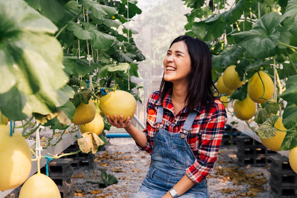 cơ hội định cư khi làm farm
