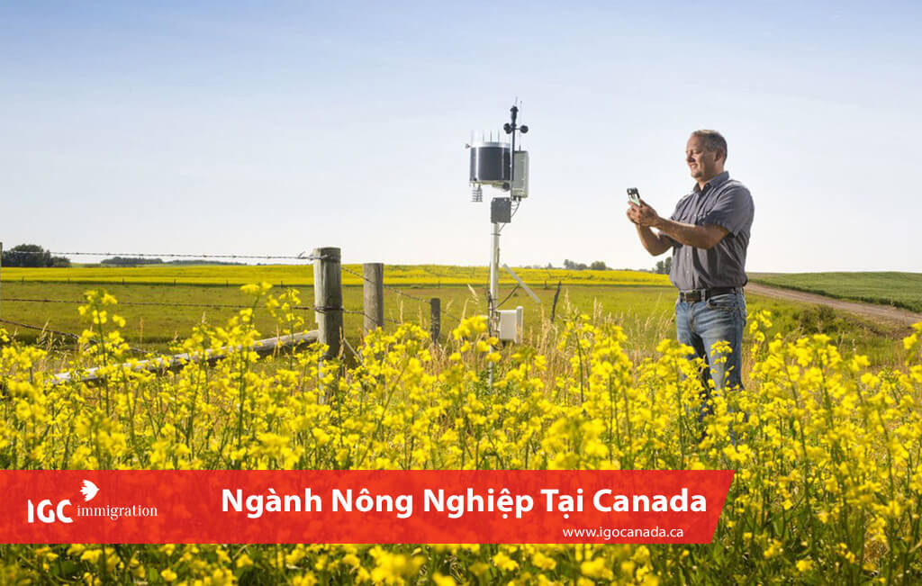 ứng dụng công nghệ cao trong quản lý nông nghiệp