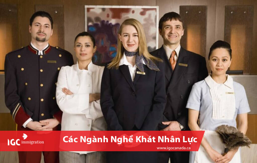 nghe dau bep tai canada dang can rat nhieu lao dong 