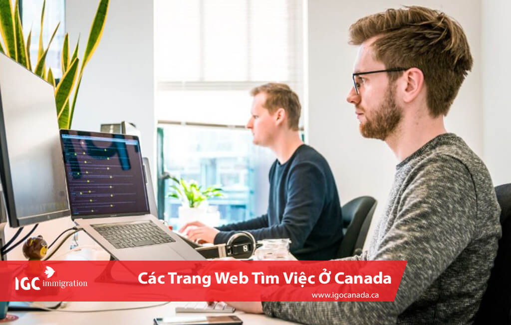 các trang web tìm việc ở canada