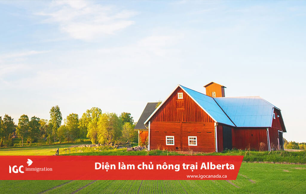 dinh cu dau tu alberta dien lam chu nong trai