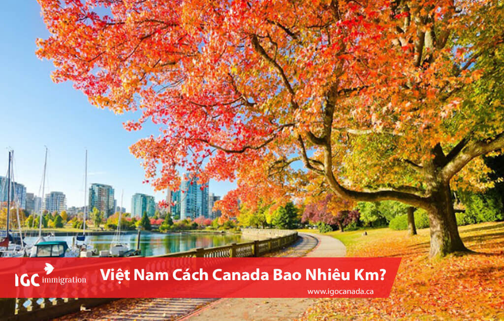 tiet kiem chi phi di lai giua viet nam va canada
